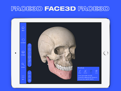 FACE 3D