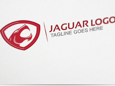 Jaguar (Company name hidden due to NDA)