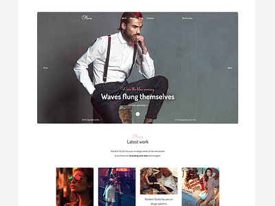 Olive - Portfolio Wordpress Theme