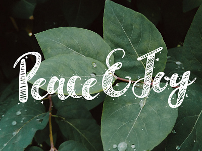 Peace and Joy Lettering christmas hand drawn ink lettering peace and joy quote script