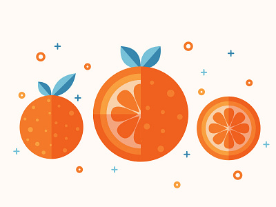 Jucy Orange Set flat fruit icon orange vegeterian