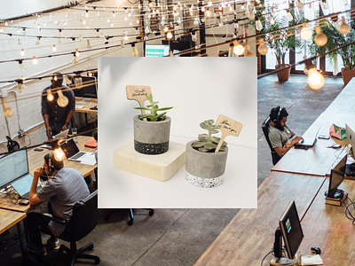 Personalized working space brand community concrete concrete planter cowork coworking space personalized physical plant pot plants space venn diagram workstation