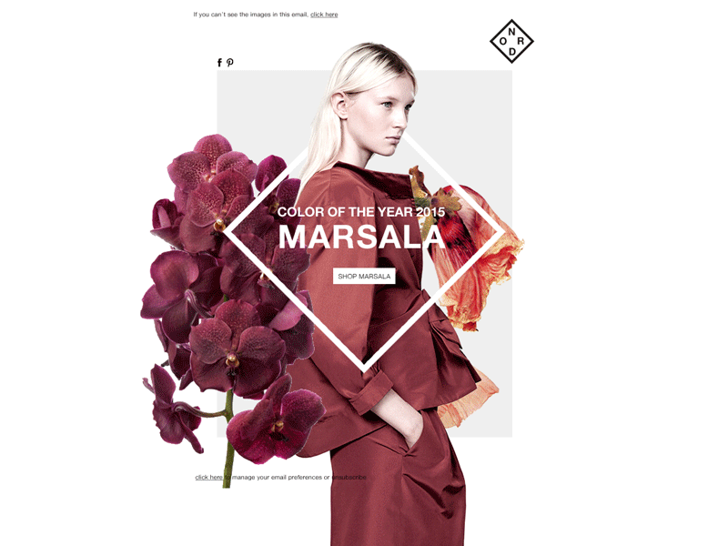 Marsala color of the year dark red fashion flower mailer maroon marsala newsletter orchid pantone