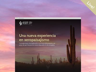 "Coming soon" landing page coming soon desert interface landing scroll ui ux visual design