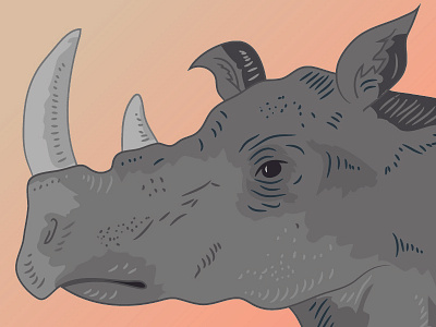 Rhino illustration rhino