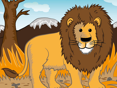 Lion africa animals lion nature savannah wild