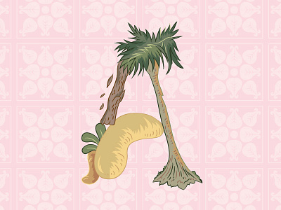 1st A of SRI LANKA! cinnamon illustration palm tree plants sri lanka