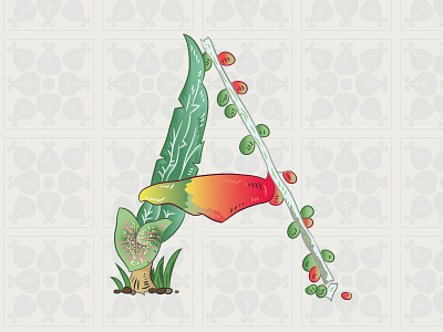 2nd A for SRI LANKA! illustration plants sri lanka typography