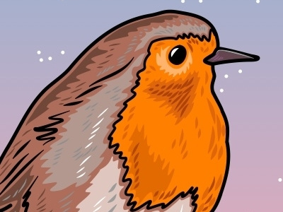 Robin birds christmas creative designs drawing illustrations robin
