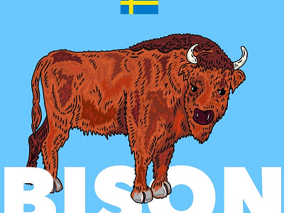 Bison animal bison colour design illustration sweden wildlife