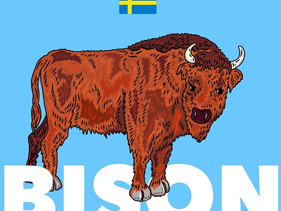 Bison