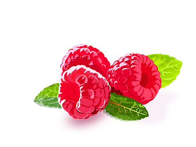 Raspberry Illustration | Fruit Illustration | Figma