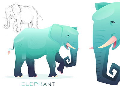 Elephant africa animal beautiful character color concept elephant illustration safari sketch vector zoo