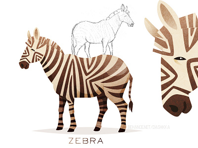 Zebra africa animal character color fun horse illustration process savana sketch vector zebra