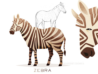 Zebra