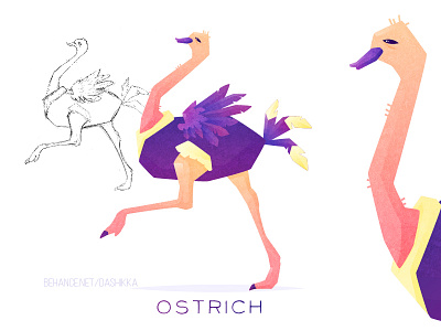 Ostrich africa animal bird character color fun illustration process savana sketch vector
