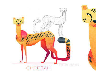 Cheetah africa animal cat character cheetah color illustration panther process vector wild zoo