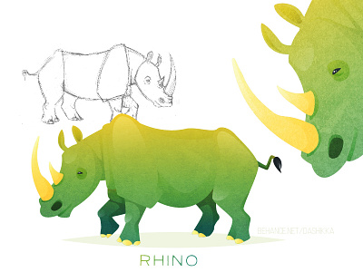 Rhino africa animal beautiful character color concept illustration rhino safari sketch vector zoo