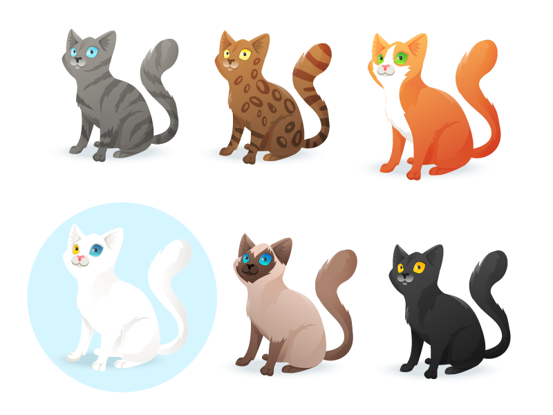 Cats Colors By Dashikka On Dribbble