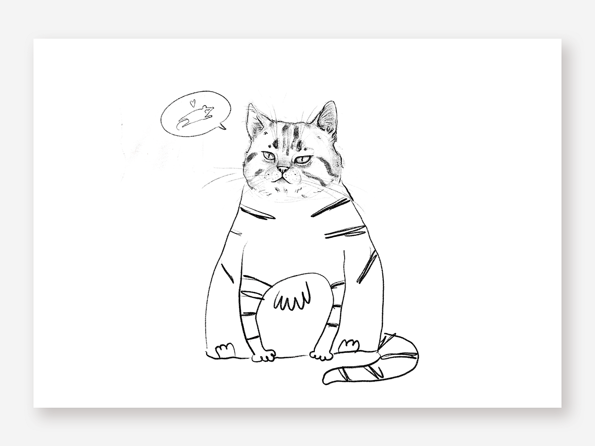 browse-thousands-of-cat-names-images-for-design-inspiration-dribbble