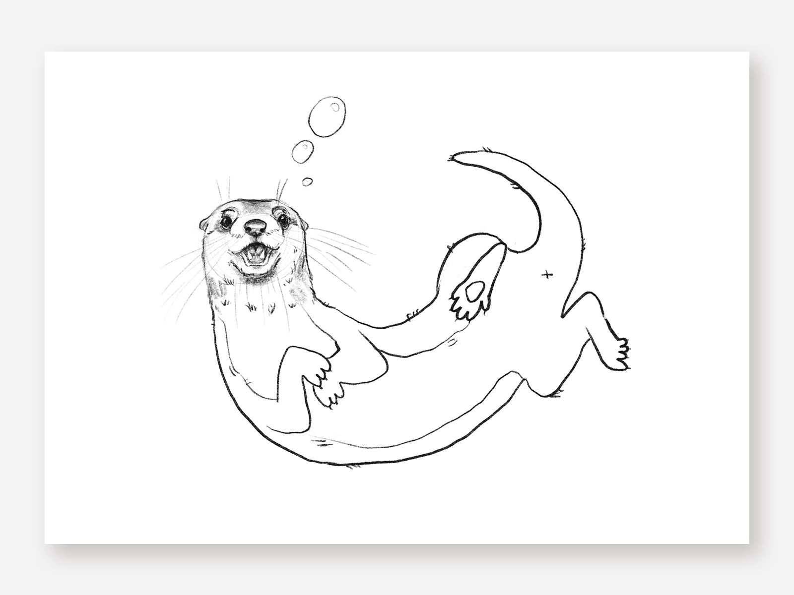 Hand Drawn Sketch of a Smooth Coated Otter or Aonyx Cinerea or Asian Small  Clawed Otter Otter Animal Vector Sketch Illustration Stock Illustration   Illustration of drawn character 200993691