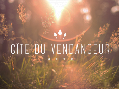 Logo Gîte du Vendangeur clean font gîte hotel light logotype luxe retro typography vintage white