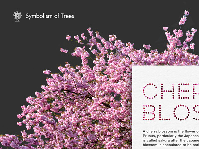 Symbolism of Trees trees ui web design website