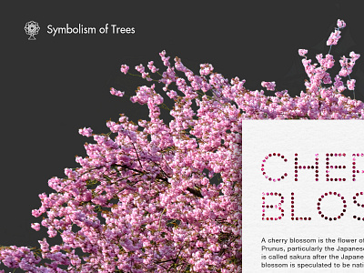 Symbolism of Trees