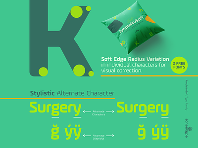AmpleNuSoft - A display type family character design font glyph letter soneritype type typeface