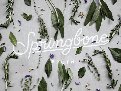 Springbone Logo cafe custom type logo script