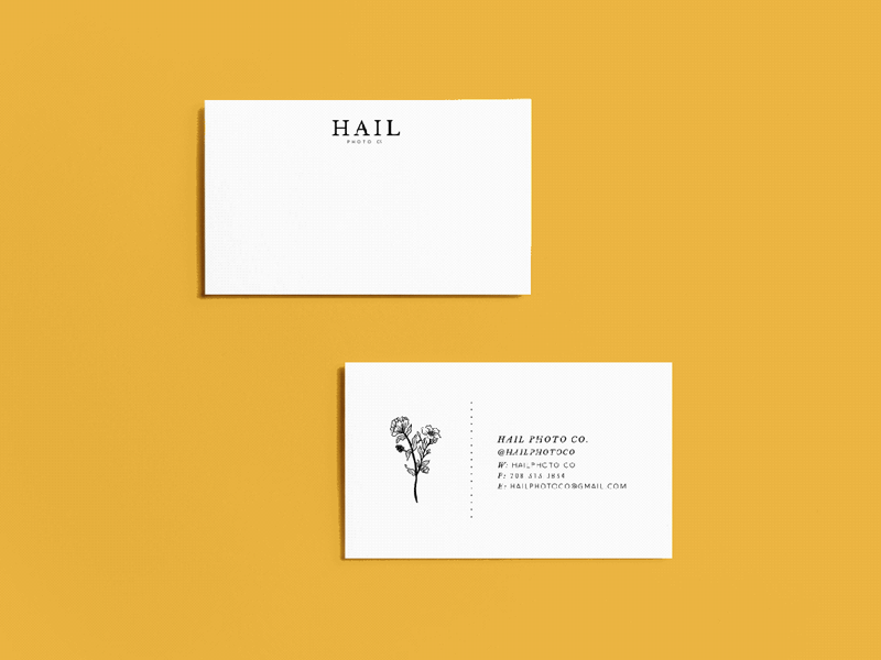 Hail Photo Co. botanical brand identity branding business card gif logo logo design secondary mark serif stationary design