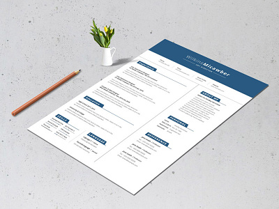 Clean Resume & Cover Letter Layout a4 ai clean cover creative letter resume