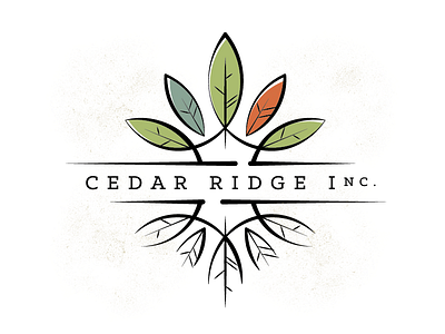 Cedar Ridge Inc 1