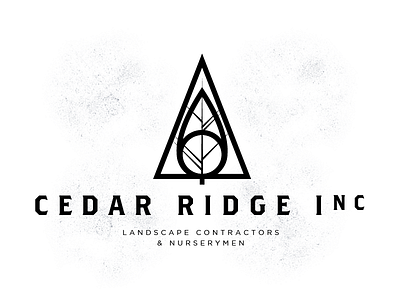 Cedar Ridge Inc 3