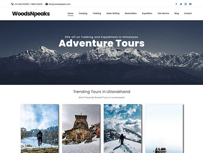 Woodsnpeaks.com hosting logo design ui website design wordpress