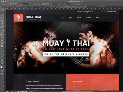 Muay Thai boxing fighters gym kickboxing mms muay thai sport