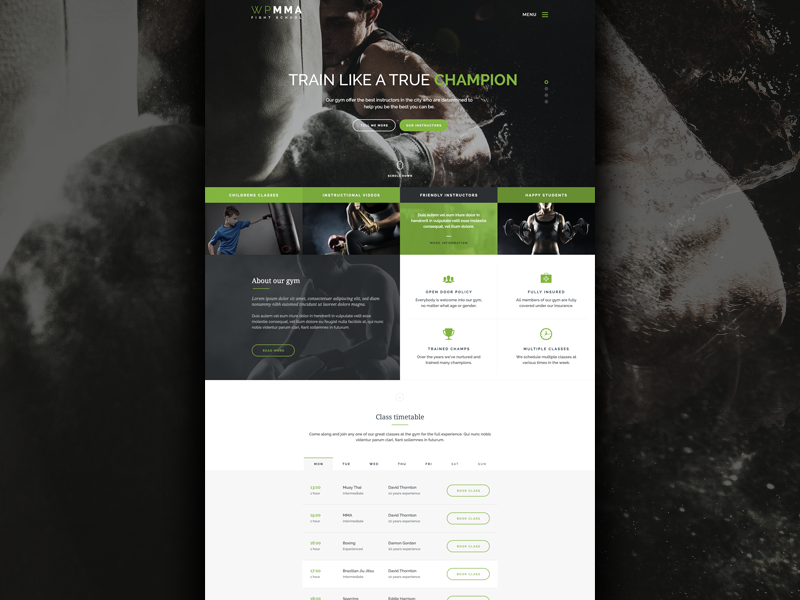 WP MMMA boxing muscle sport gym fitness muay thai fighting mma