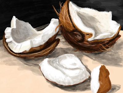 Coconuts digital illustration