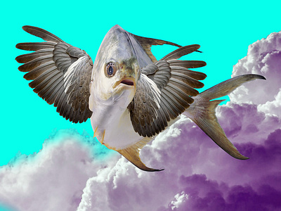 Flying Fish Fantasy Wallpaper design fantasy graphic design illustration wallpaper