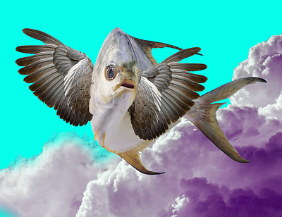 Flying Fish Fantasy Wallpaper design fantasy graphic design illustration wallpaper