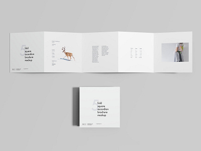 5 Fold Square Accordion Brochure Mockup branding brochure brochure mockup download free download freebie graphicpear mockup mockup design mockup download package package design package download package mockup packaging photoshop print design product design psd square brochure