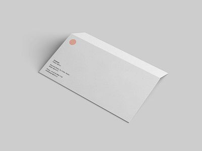 Standard DL Envelope Mockup