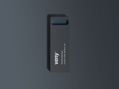 Flash Disk Mockup