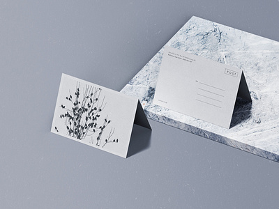 Download Postcard Mockup Designs Themes Templates And Downloadable Graphic Elements On Dribbble