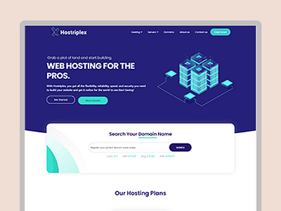 Web Hosting Theme Design