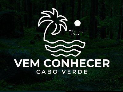 Palm Beach Logo Design