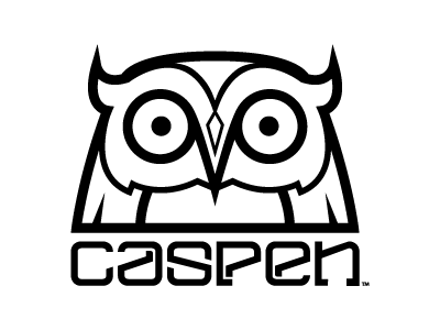 Caspen logo agency branding design graphic logo owl