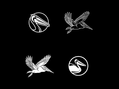 Pelican Study agency animal freelance graphicdesign icon illustrator logo logomark vector