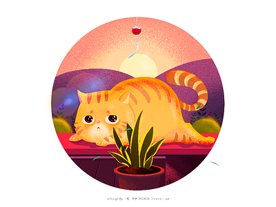 A casual cat botany cat dusk illustration sunshine warm