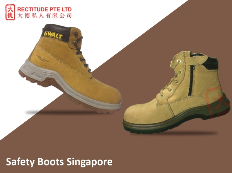 Water, Chemical, And Electric Resistance Safety Boots by Rectitude Pte